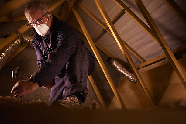 Best Insulation Maintenance and Repair in Wiggins, CO